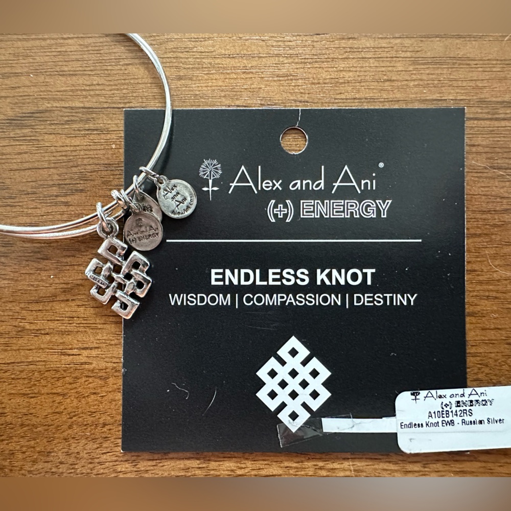Alex and Ani Vintage Russian Silver “Endless Knot” expandable charm Bracelet